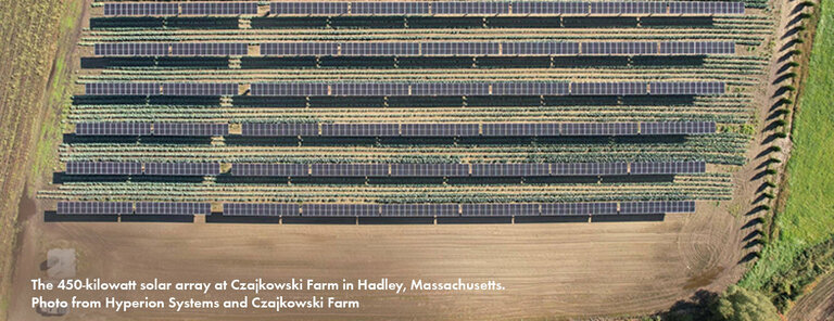 Joe Czajkowski Farm: Growing Produce and Producing Power in the Pioneer Valley